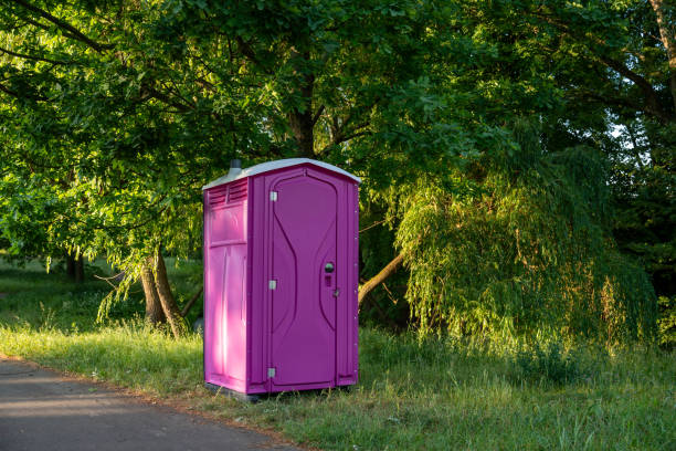 Best Local porta potty services  in Pleasant Ridge, MI